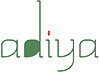 Adiya Solar Technology Corporation