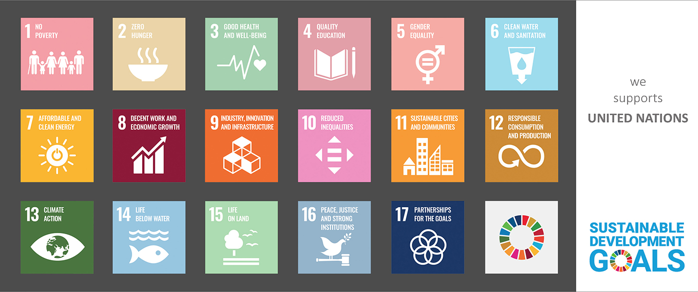 UN SDG's